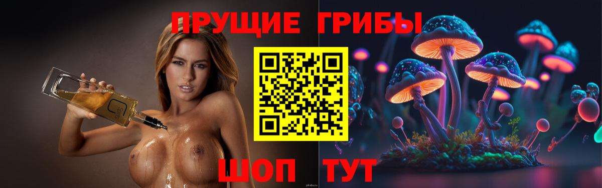 Галлюциногенные грибы MAGIC MUSHROOMS  Вход с VPN  Галлюциногенные грибы ЛСД  Луга 